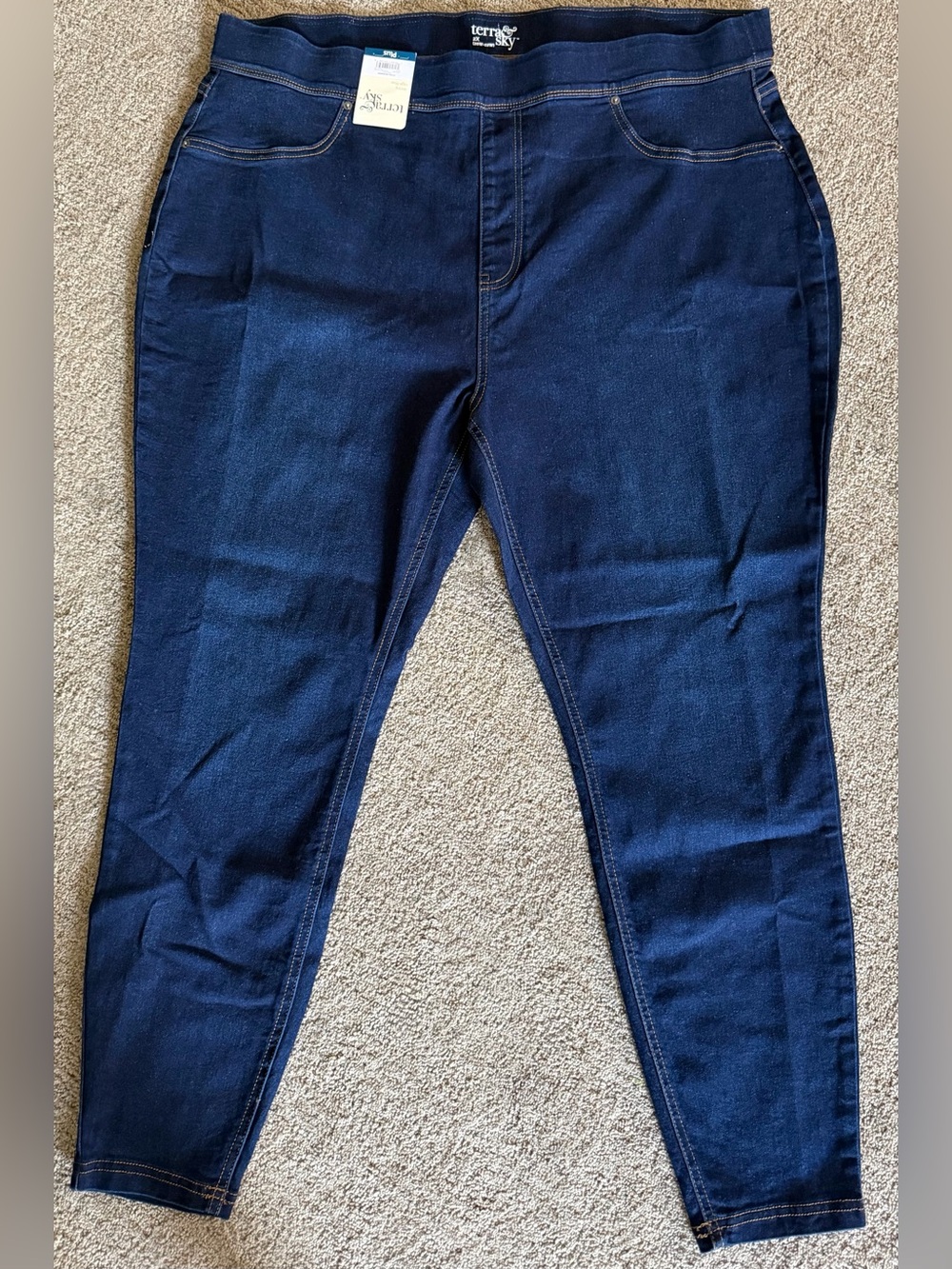 Terra & Sky Dark Wash Pull-On Skinny Jeggings